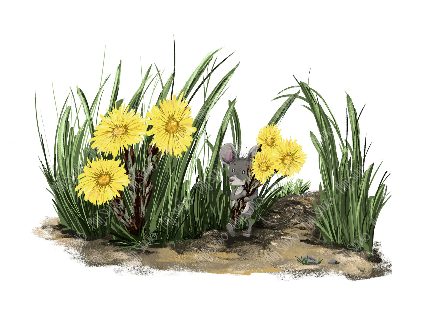 Caleb and his Coltsfoots - Canvas