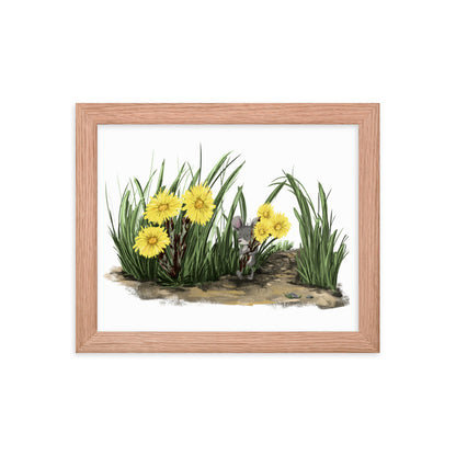 Caleb and his Coltsfoots - Framed